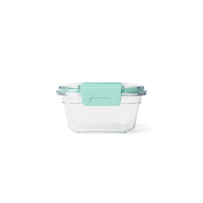 Small Plastic Food Storage - US 3483