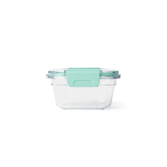 Small Plastic Food Storage - US 3483