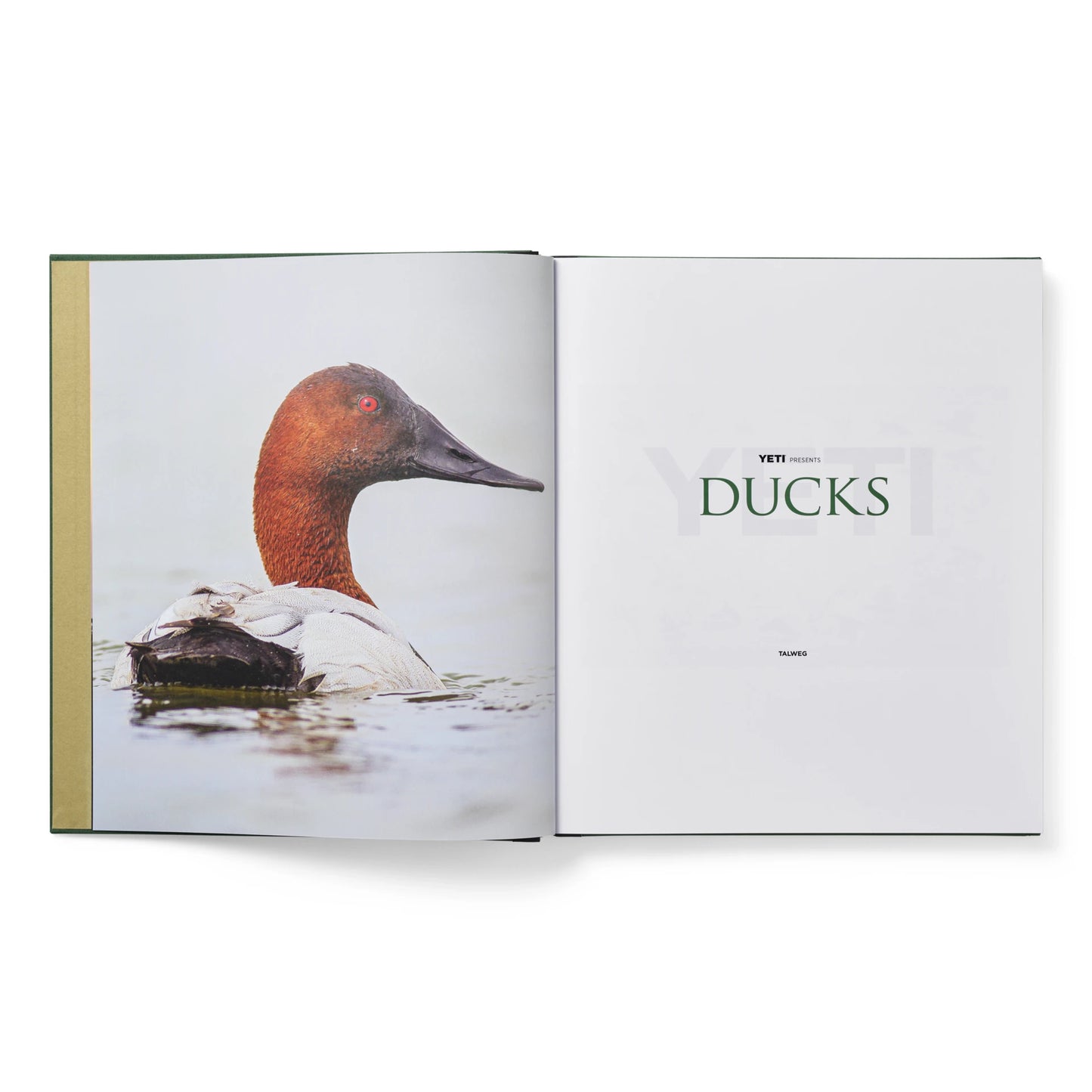 Ducks Coffee Table Book - US 2439