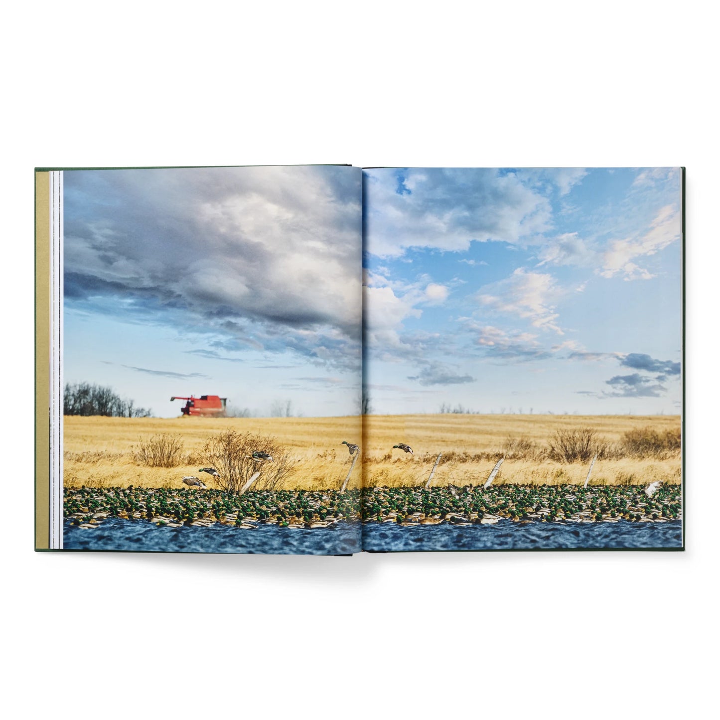 Ducks Coffee Table Book - US 2439