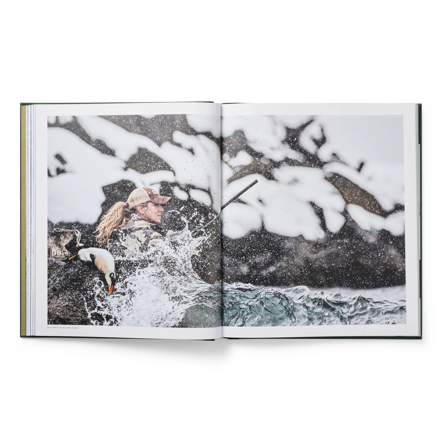 Ducks Coffee Table Book - US 2439