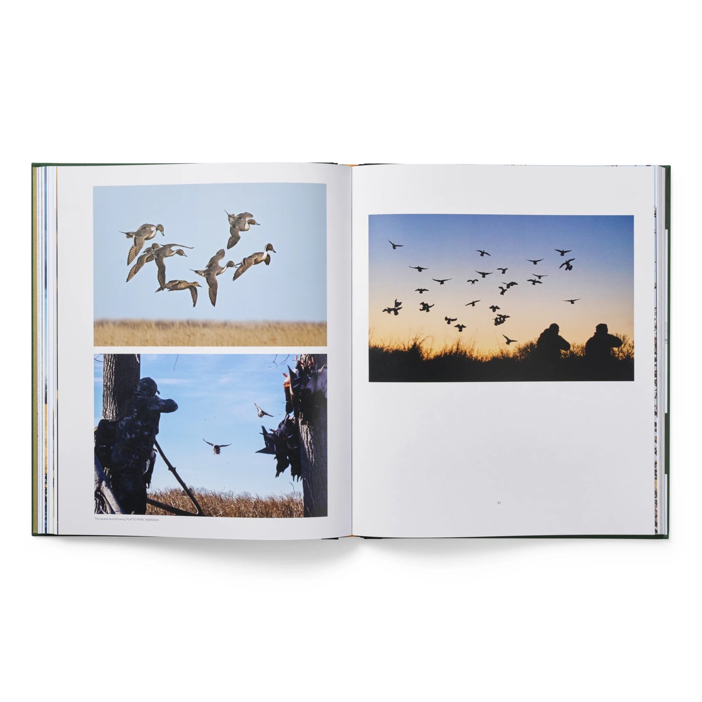 Ducks Coffee Table Book - US 2439